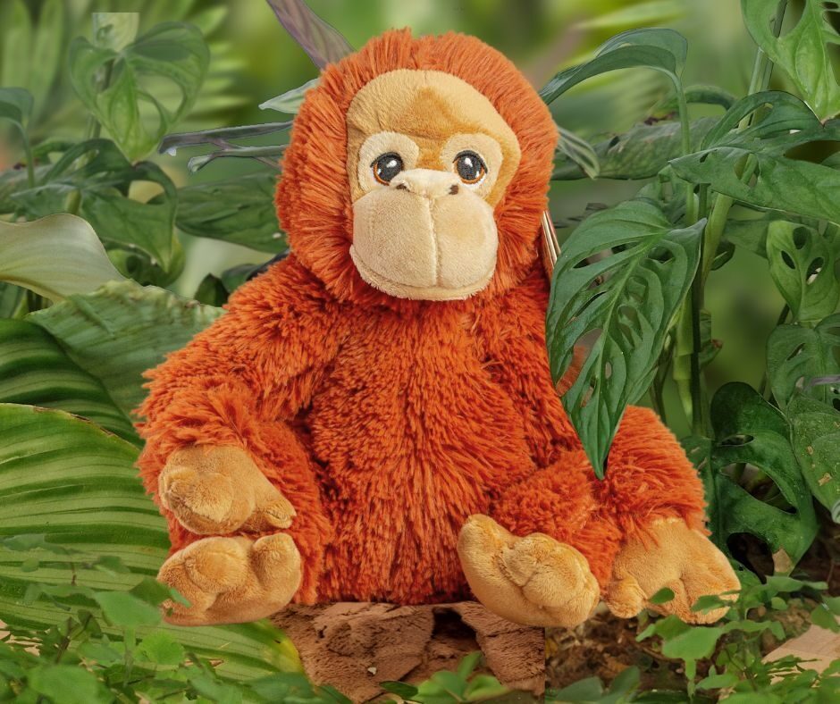 Orangutan soft toy sitting with a rainforest print background behind it.
