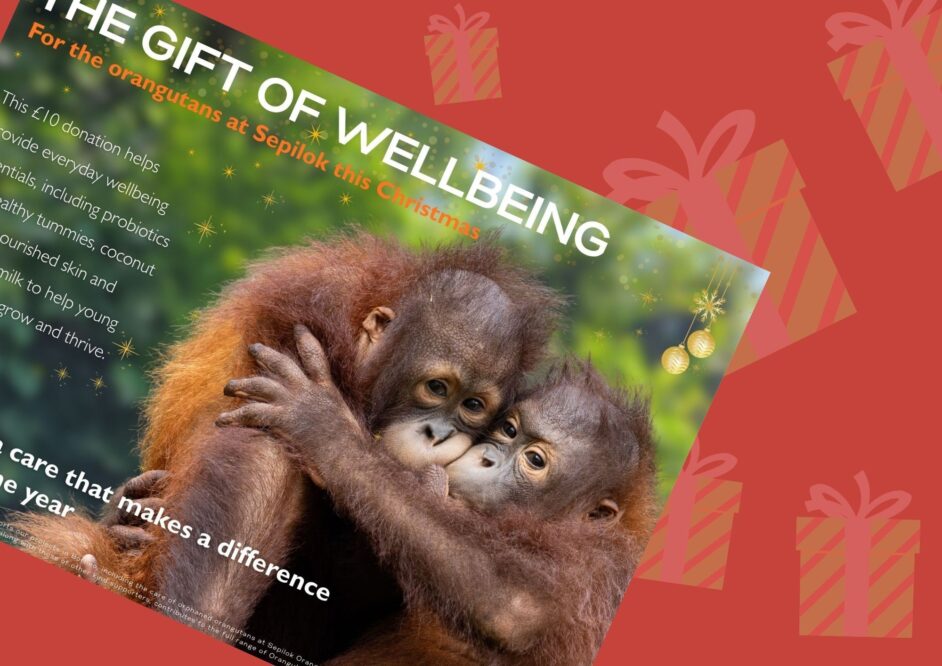 Wellbeing Christmas Shop Image