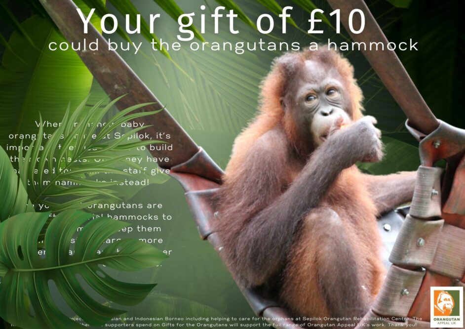 Your gift of 10 could buy a hammock