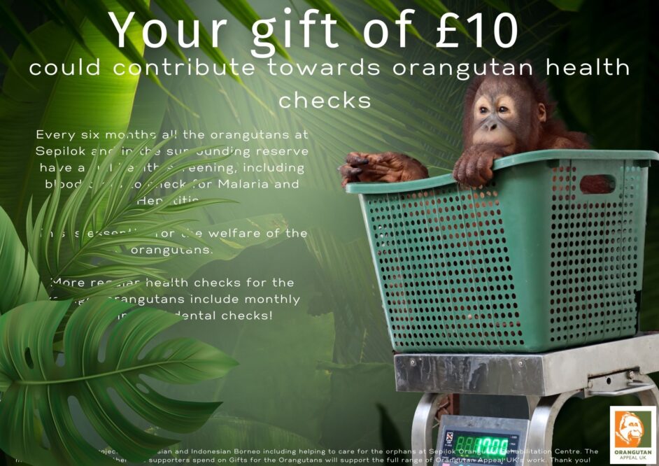 Your gift of 10 could contribute to health checks