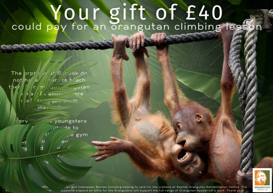 Your gift of 40 could provide a climbing lesson