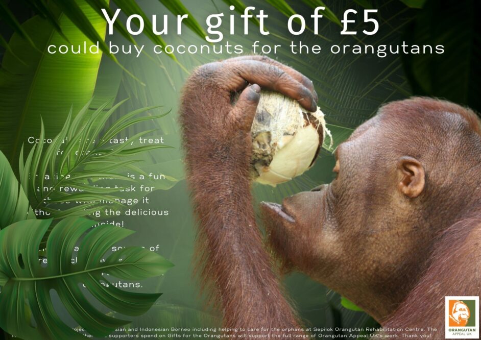 Your gift of 5 could buy coconuts