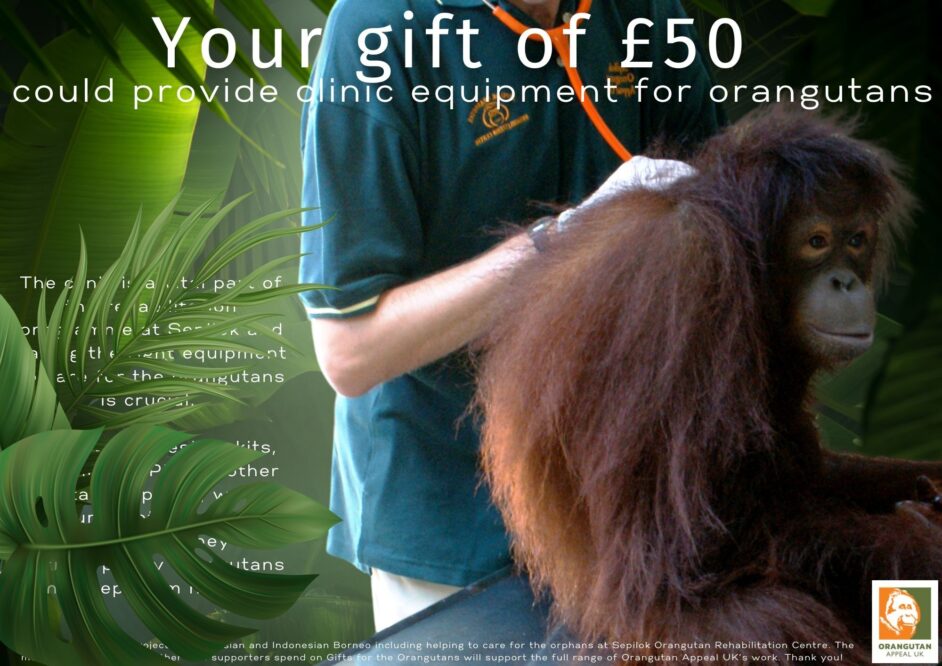 Your gift of 50 could go toward clinic equipment