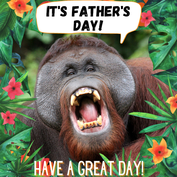 Father's Day orangutan eCard