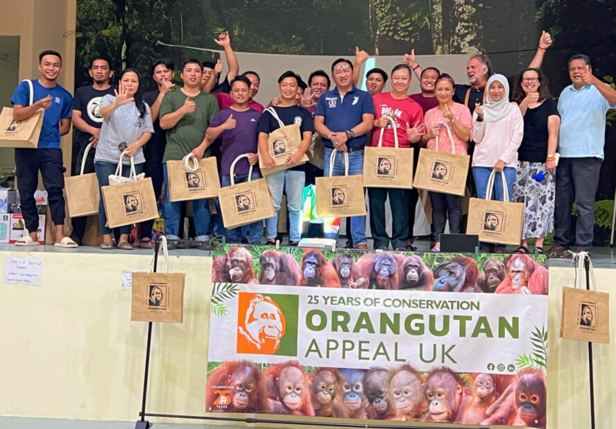 Orangutan Sepilok Sabah Conservation