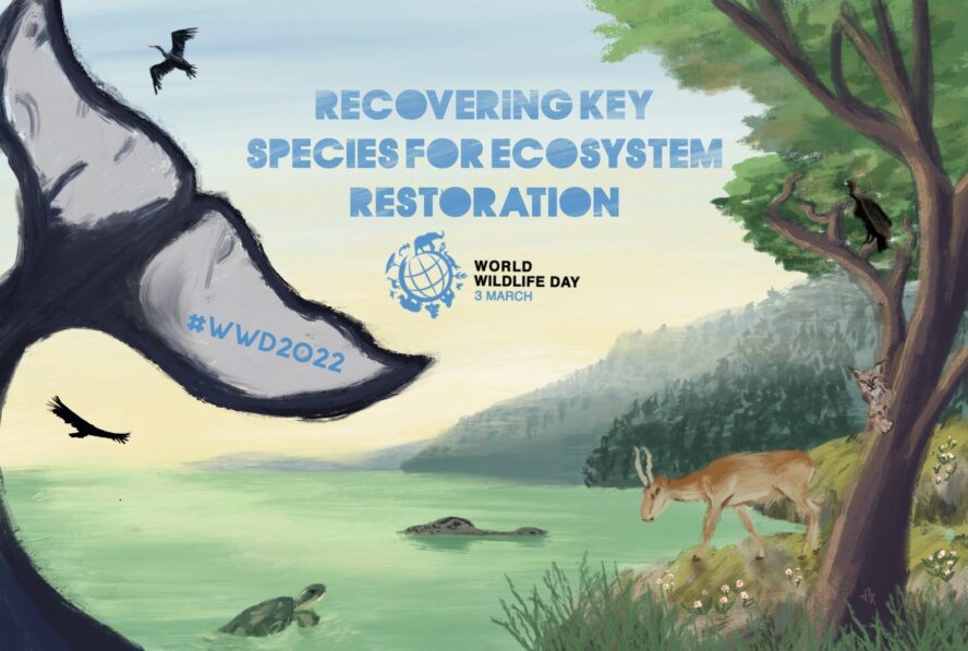 Poster for World Wildlife Day 2022