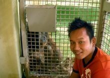 Andy, sponsored student by Orangutan Appeal UK standing by orangutan with a gate between him and the animal as he smiles for the camrea.