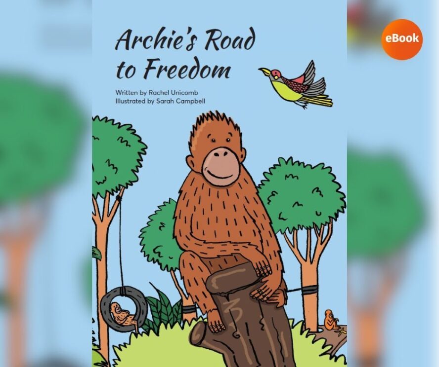 Archie road to freedom 1