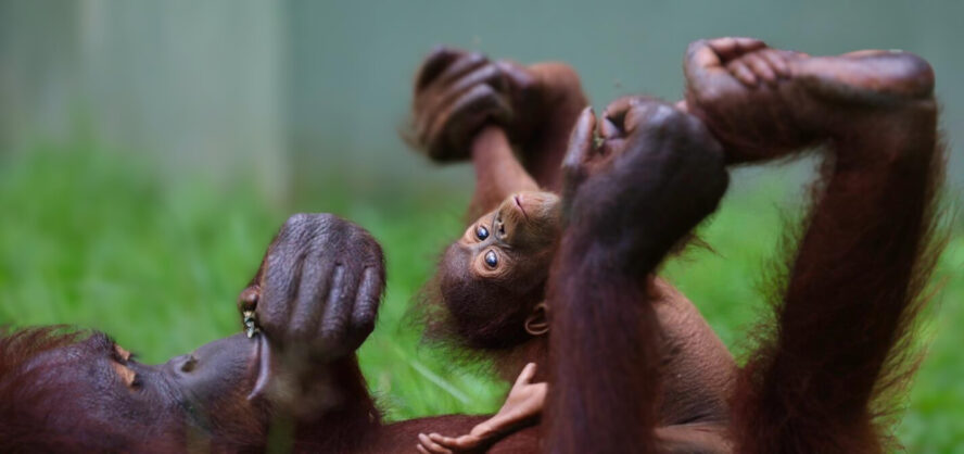 Baby Gwyn with Ospie