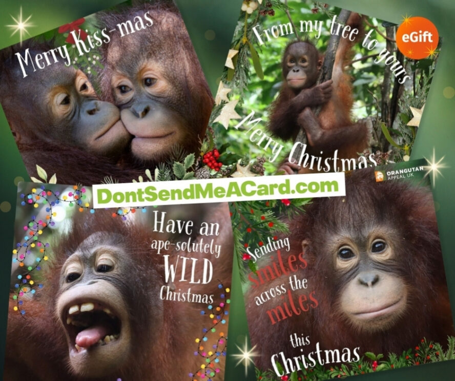 Christmas Website Shop Listing Image Template