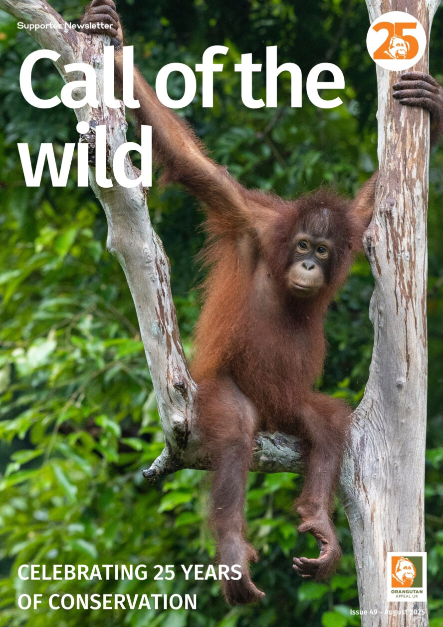 Digital Newsletter 49 Orangutan Appeal UK