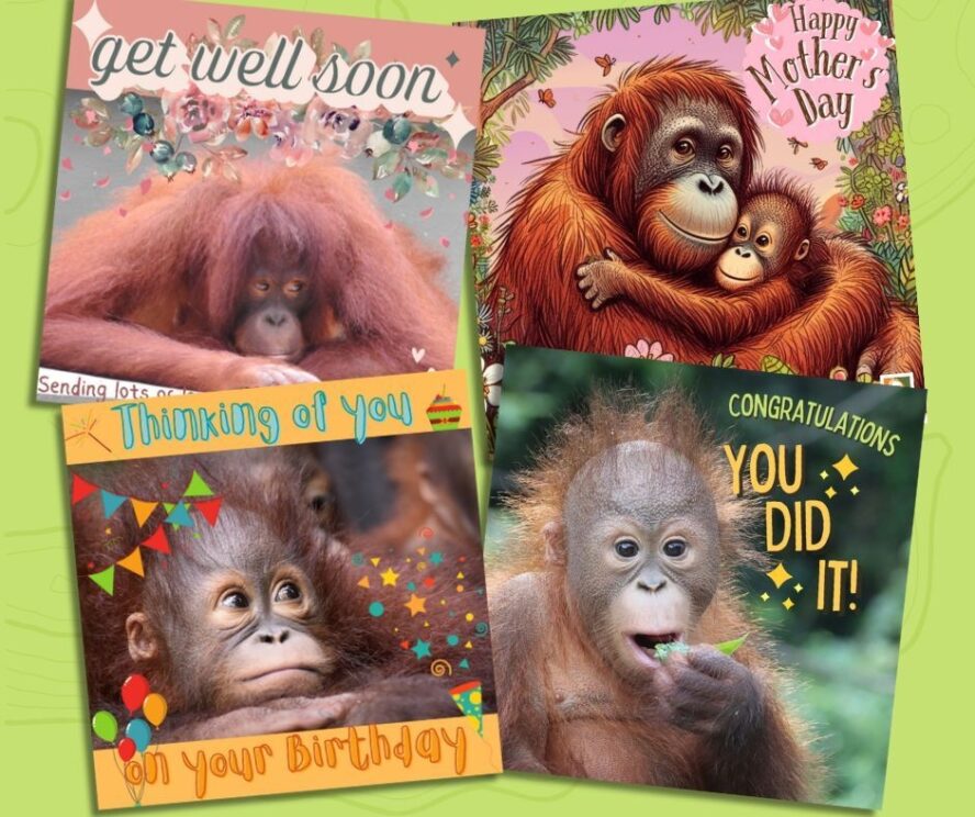 E cards cover shop Mum