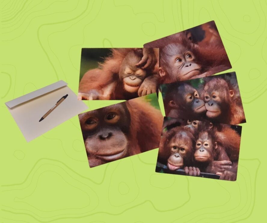 Greeting card shop cover image