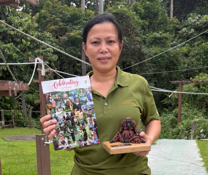 Ibri celebrating 20 years with Orangutan Appeal UK 1