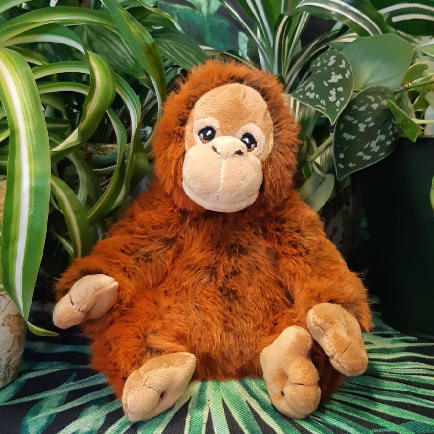 Orangutan plush shop front