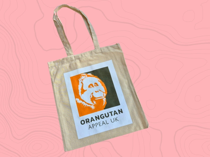 Tote Bag 1