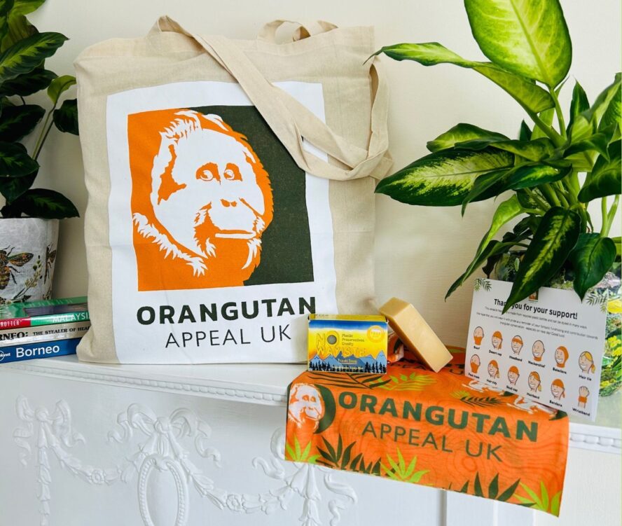 Travel pack