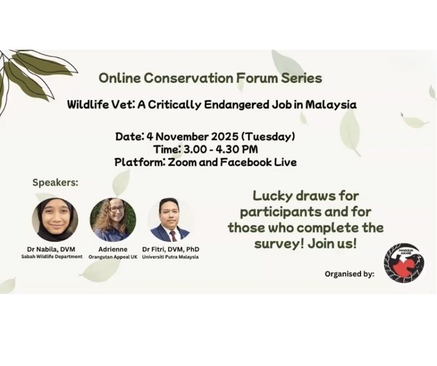 UPM Forum Website Image