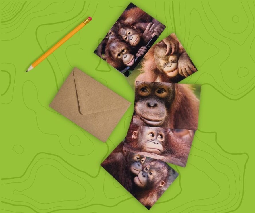 5 greetings cards flayed out next to a envelope and pencil