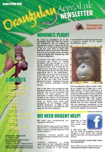 No. 24 - February 2013