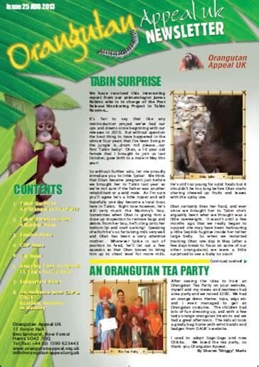 No. 25 - August 2013